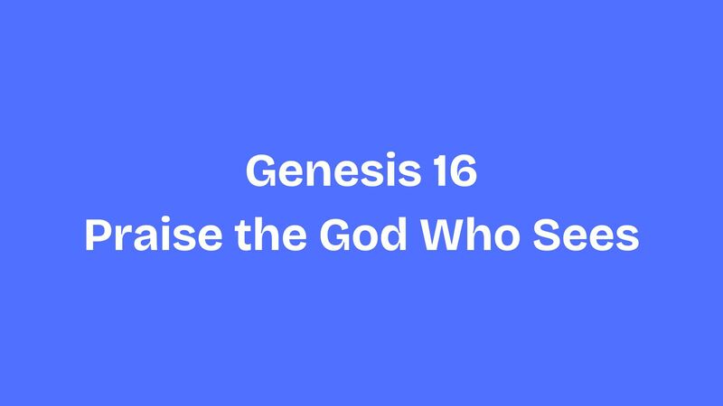 Praise the God Who Sees