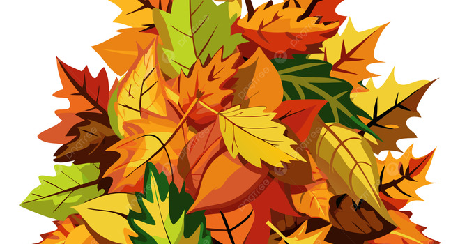 Fall Garden and Grounds Tidy Up