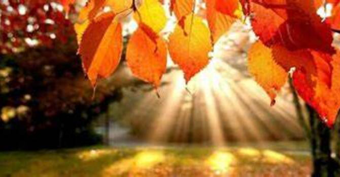 Nineteenth Sunday After Pentecost