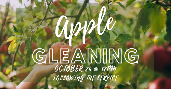 Apple Gleaning