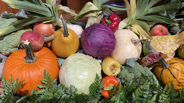 Harvest Thanksgiving
