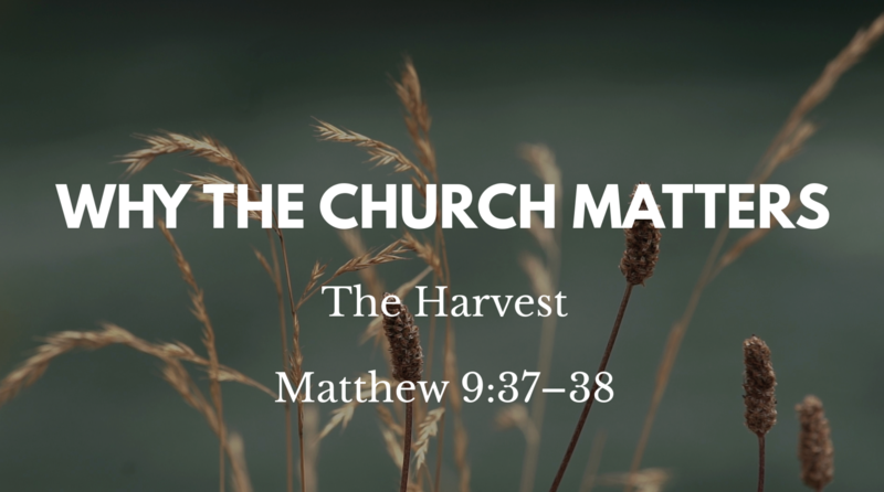 Why the Church Matters: The Harvest