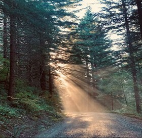 Slideshow image