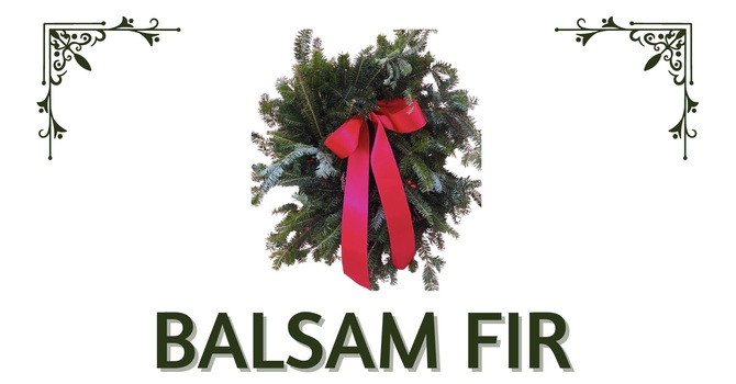 Order a Wreath Now image