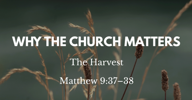 Why the Church Matters: The Harvest