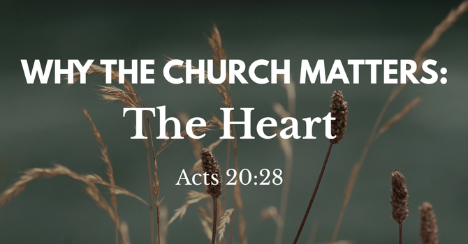 Why the Church Matters: The Heart