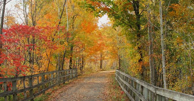 Religious Education & Family Ministry Update image