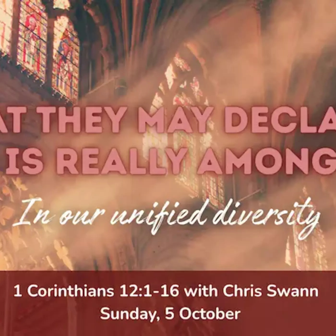 In Our Unified Diversity