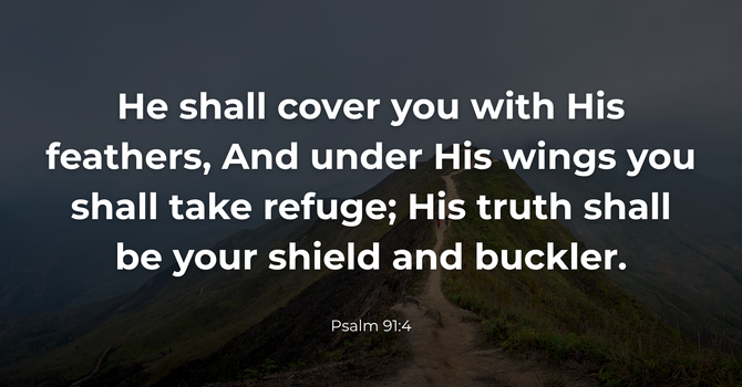Psalm 91:4 image