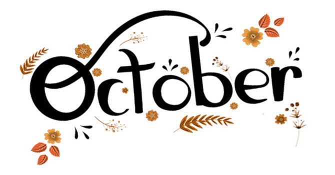 Rockport Updates: October 10, 2025 image