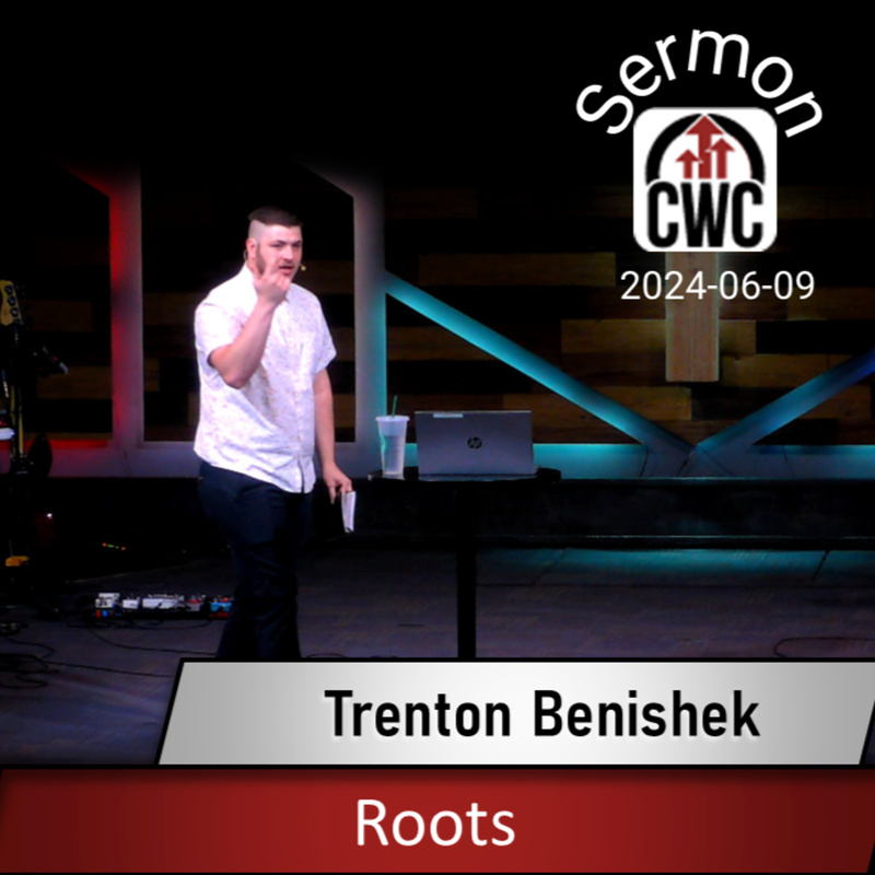 Roots (2024-06-09)