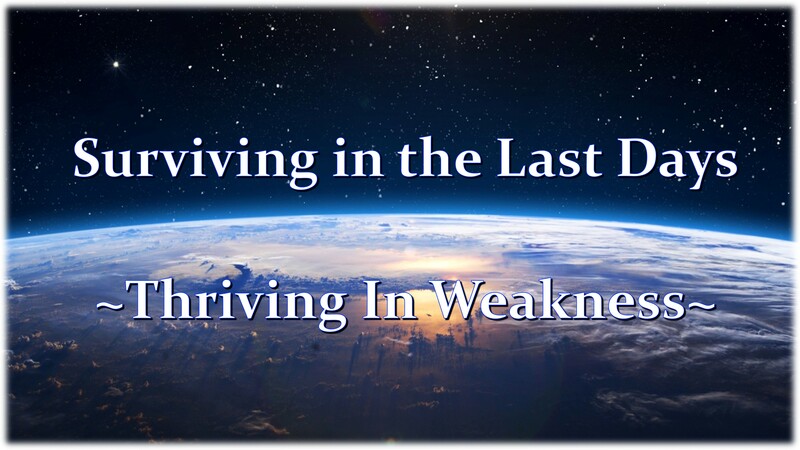Surviving In The Last Days