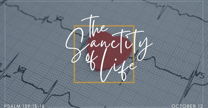 The Sanctity of Life