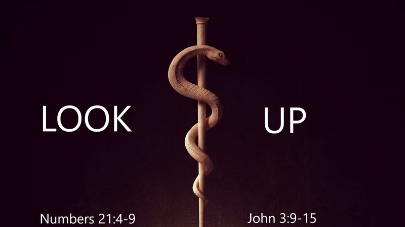 Look Up!