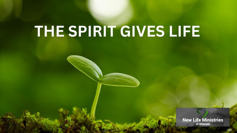 THE SPIRIT GIVES LIFE