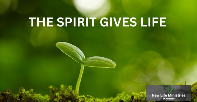THE SPIRIT GIVES LIFE