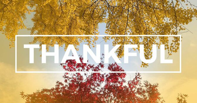 Thanksgiving Celebration