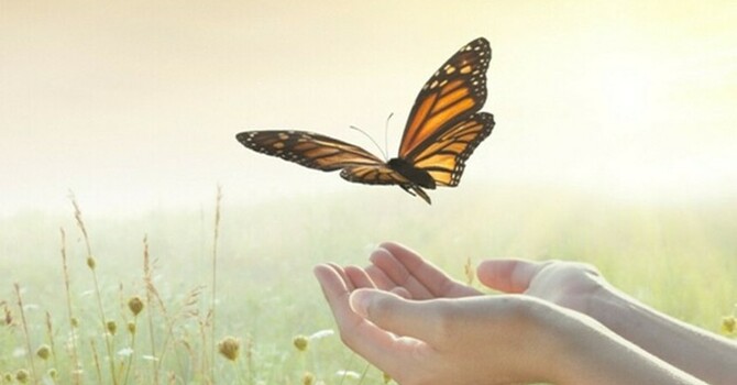 The Jesus Path to Enlightenment (S, LS)