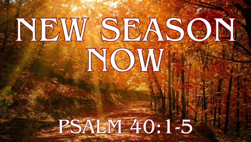 New Season Now 