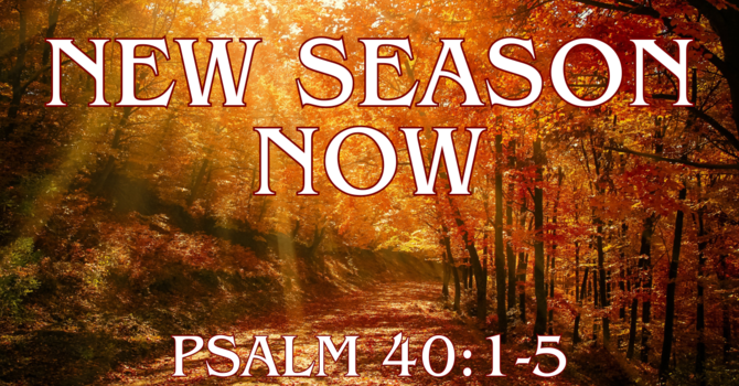New Season Now 