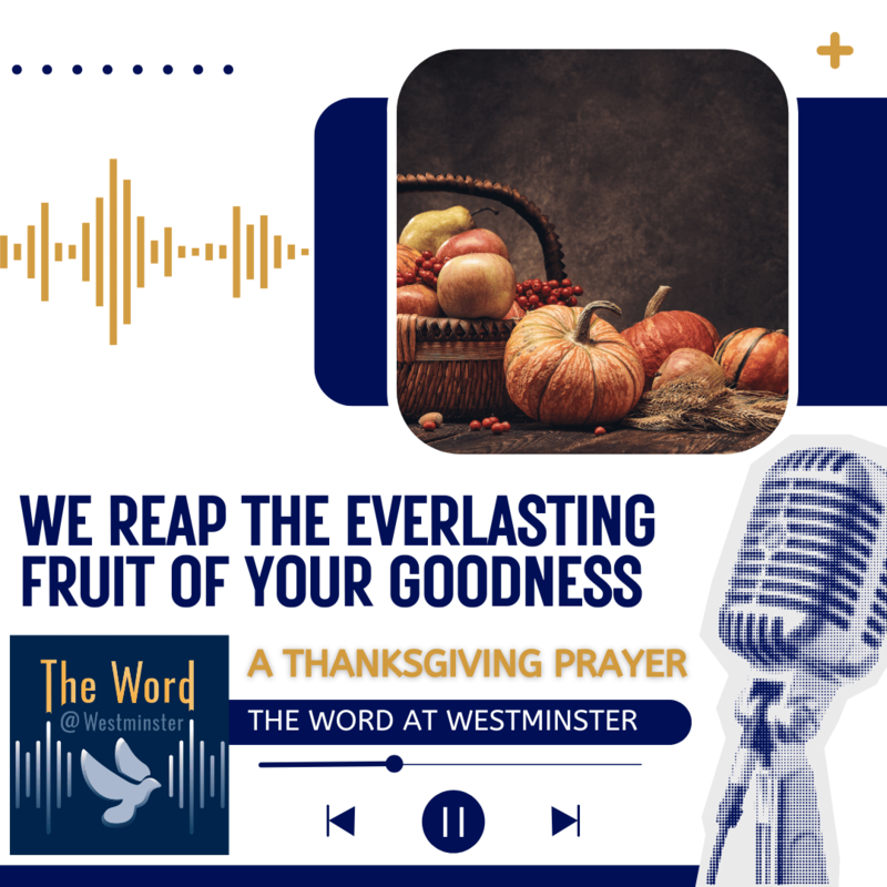 We reap the everlasting fruit of your goodness - a Thanksgiving prayer