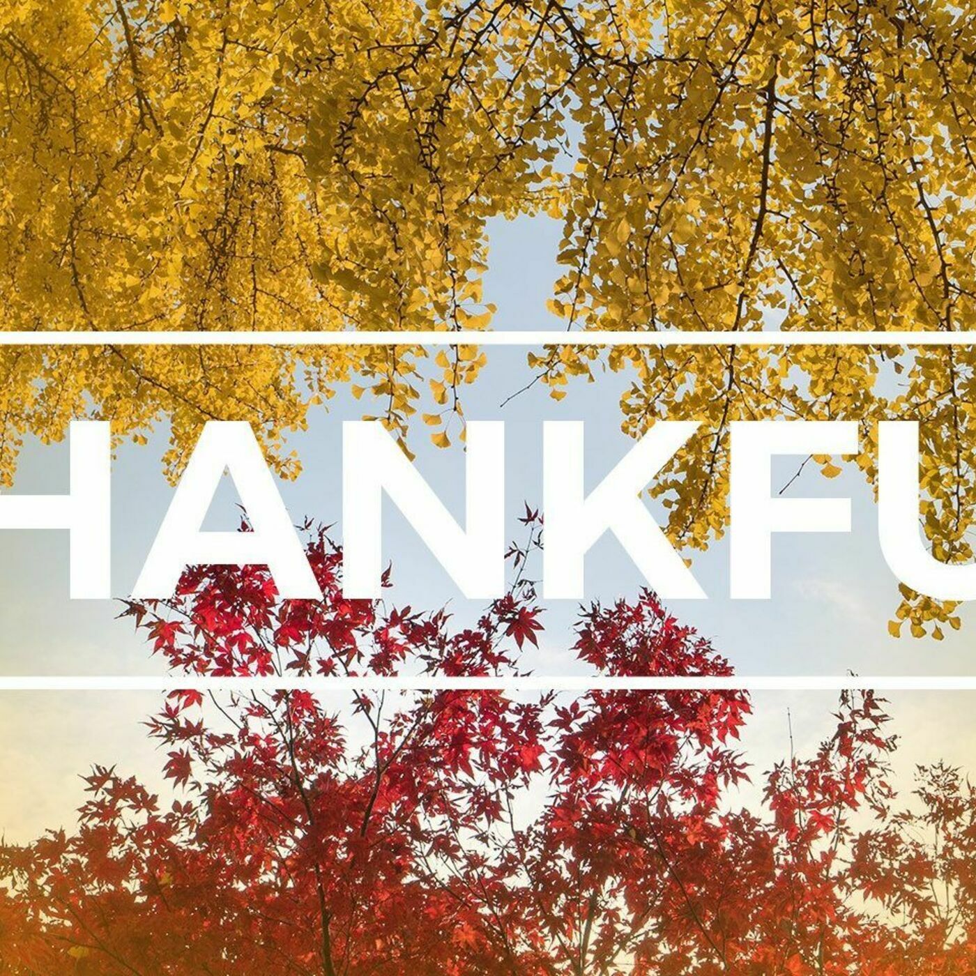 Thanksgiving Celebration episode artwork