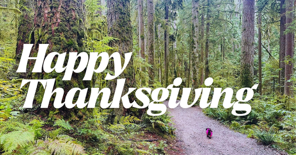 Happy Thanksgiving Weekend to All!