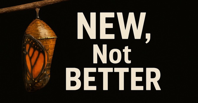 New Not Better