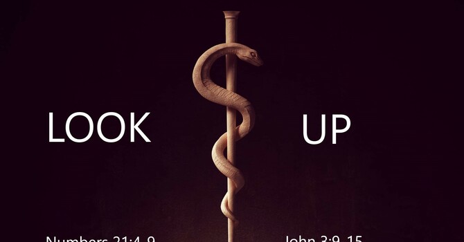 Look Up!