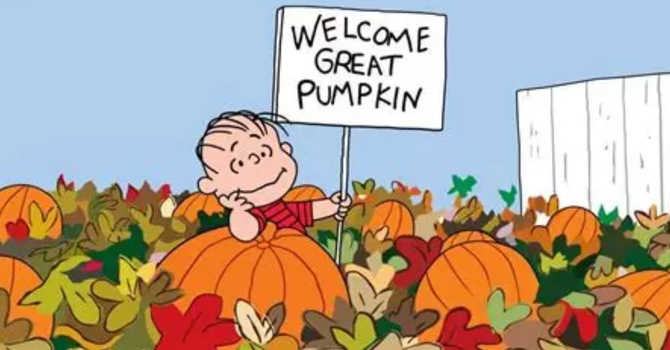 Pumpkin Patch 2025