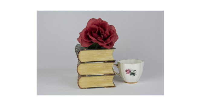 Zoom Cluster Book Study
