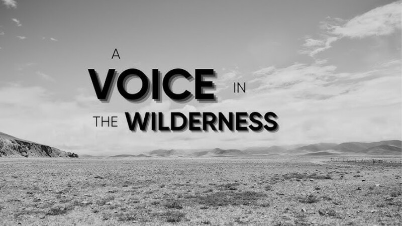 "A Voice in the Wilderness"