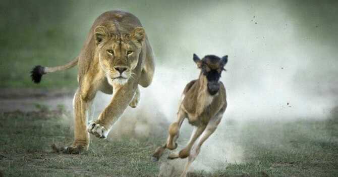 FRANKLY SPEAKING image