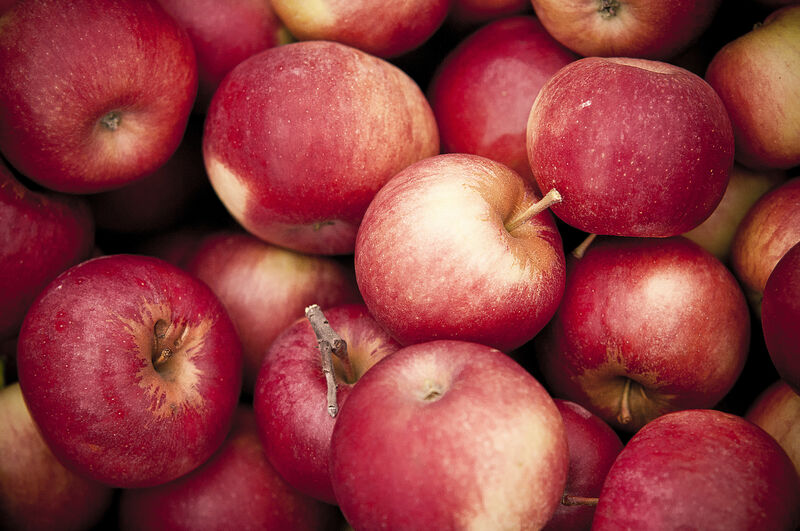 Authentic Fruit