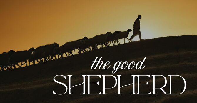 The Good Shepherd