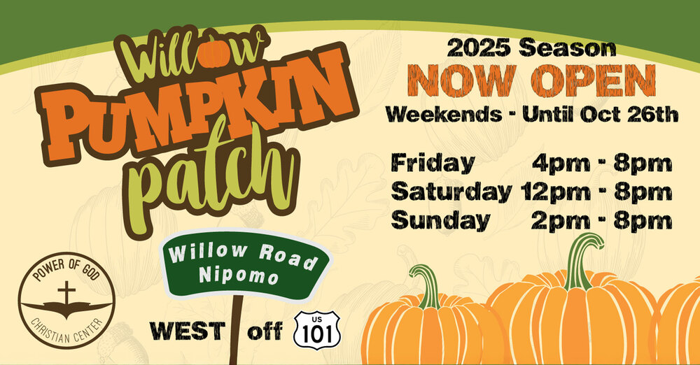 Willow Pumpkin Patch