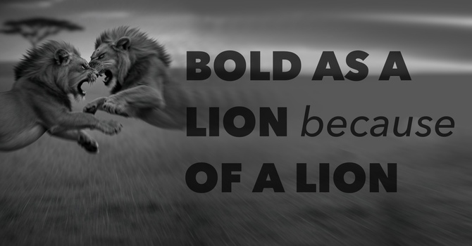 Bold as a Lion