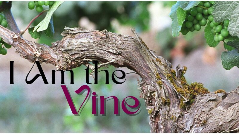 I Am the Vine