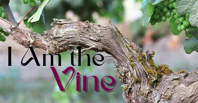 I Am the Vine