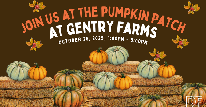 Pumpkin Patch