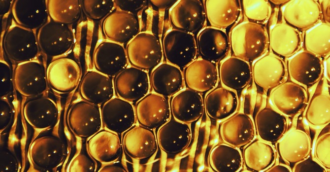 2-Honey from the Rock 