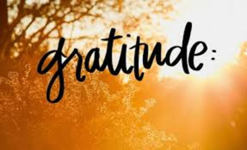 Educated by Gratitude