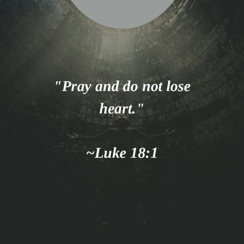 “Do Not Lose Heart”