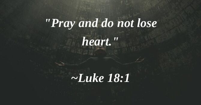 “Do Not Lose Heart”
