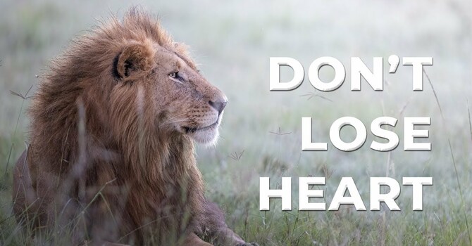 St. John's Weekly Bulletin - 19 October 2025 image