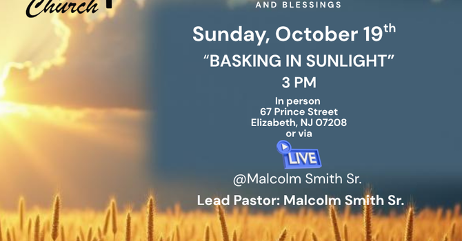 "Basking in Sunlight"