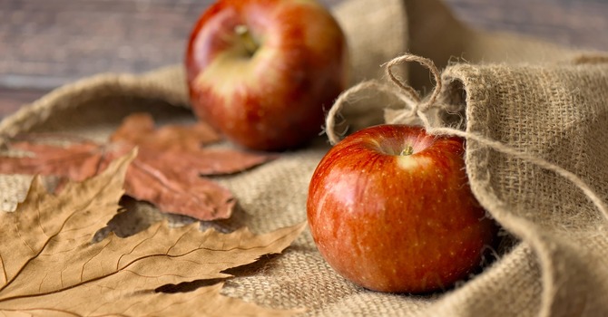Thanksgiving Newsletter image