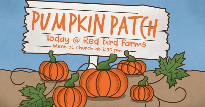 Children's Pumpkin Patch