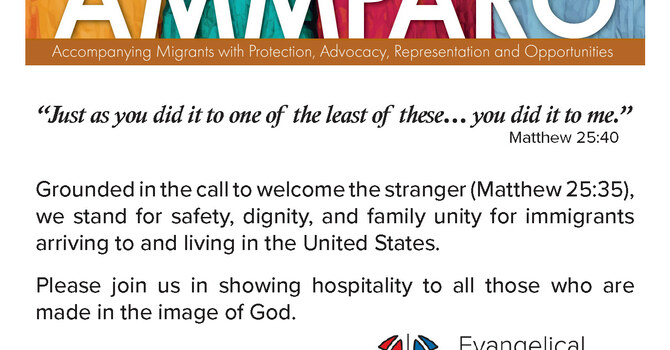 AMMPARO Advocacy Cards image