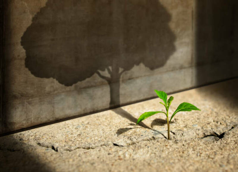 Embrace Hope